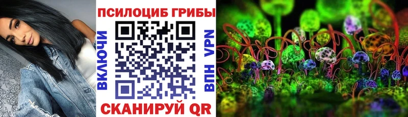 Галлюциногенные грибы Magic Shrooms  наркотики  Северобайкальск 