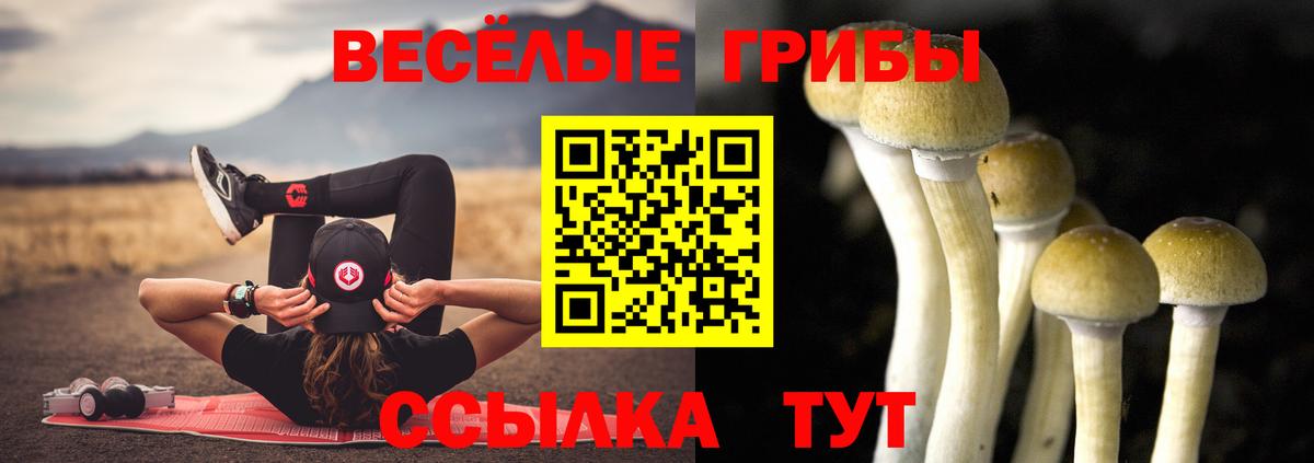 купить   Вход с VPN  Галлюциногенные грибы мицелий  Северобайкальск  Галлюциногенные грибы прущие грибы 